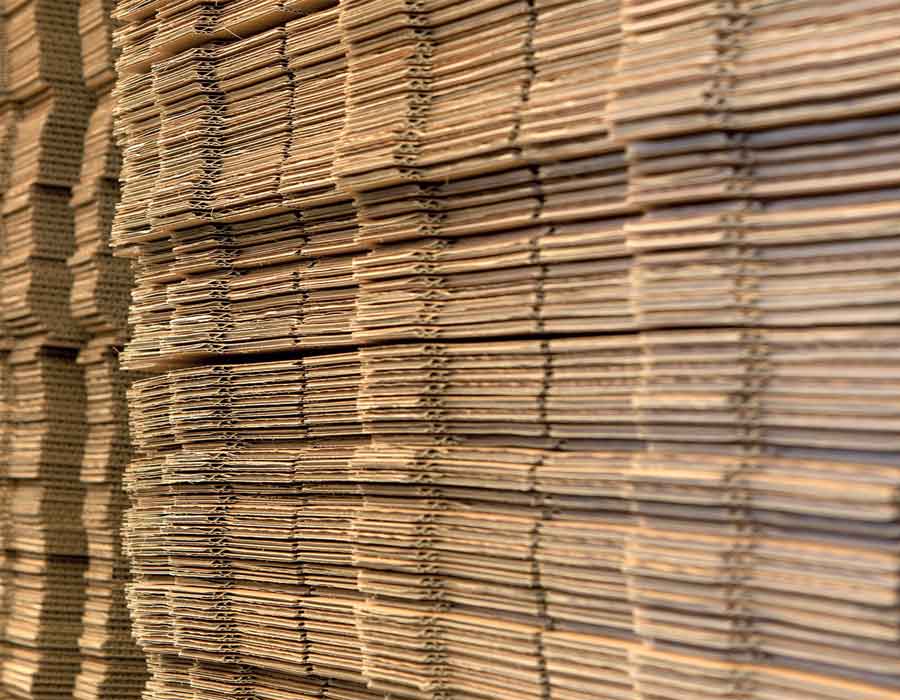 Service | Mondo S.r.l.